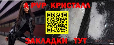 стаф Гай