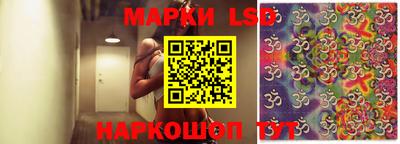 стаф Гай