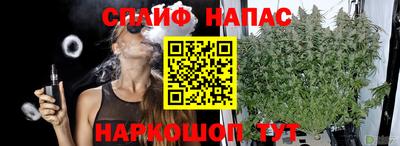 стаф Гай