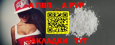 стаф Гай
